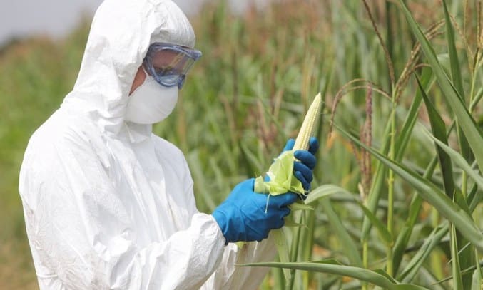 Pesticide Poisoning in POISONING PARADISE documentary